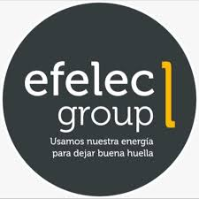 Logo Efelec Group